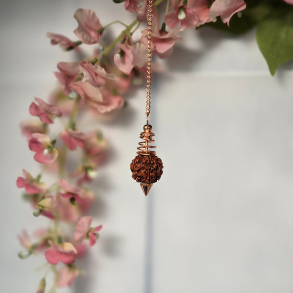 Rudraksha - Perle De Shiva